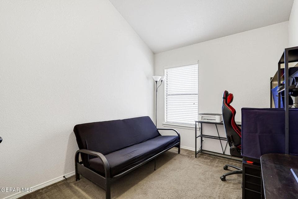 3-web-or-mls-IMG_3788