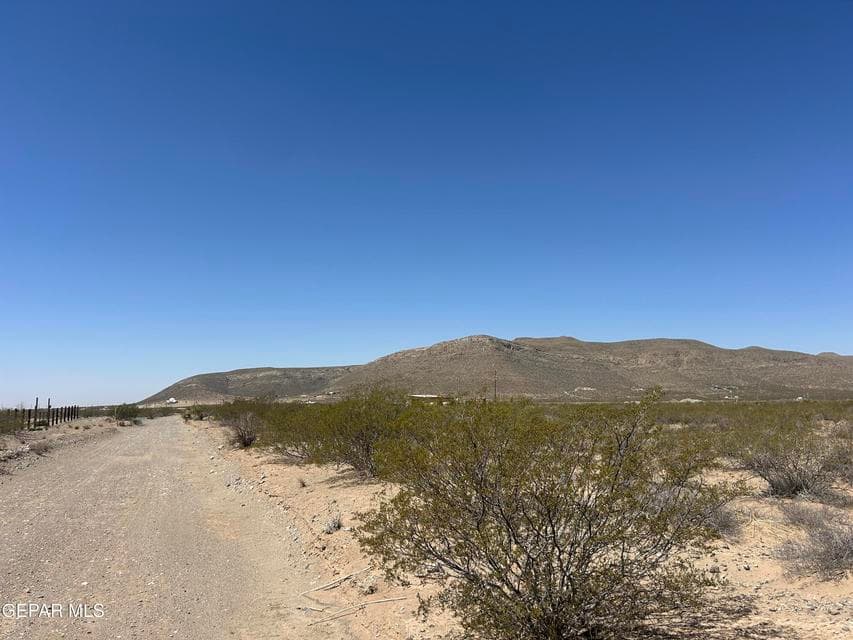 View West