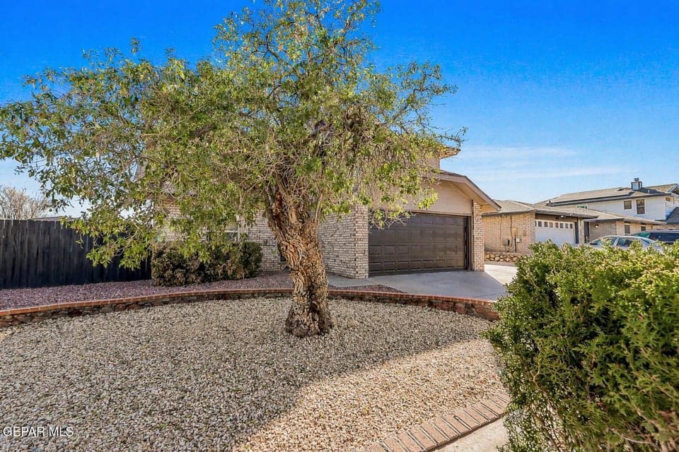 ChatGPT Image Feb 13, 2026, 02_28_35 PM