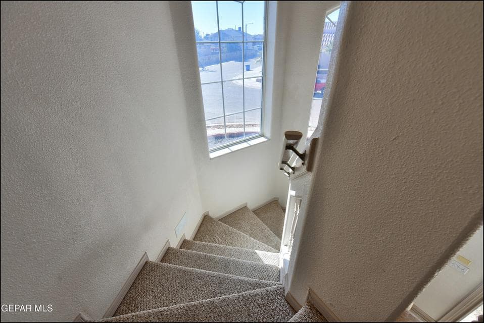 Tierra Tania 3832 (28)