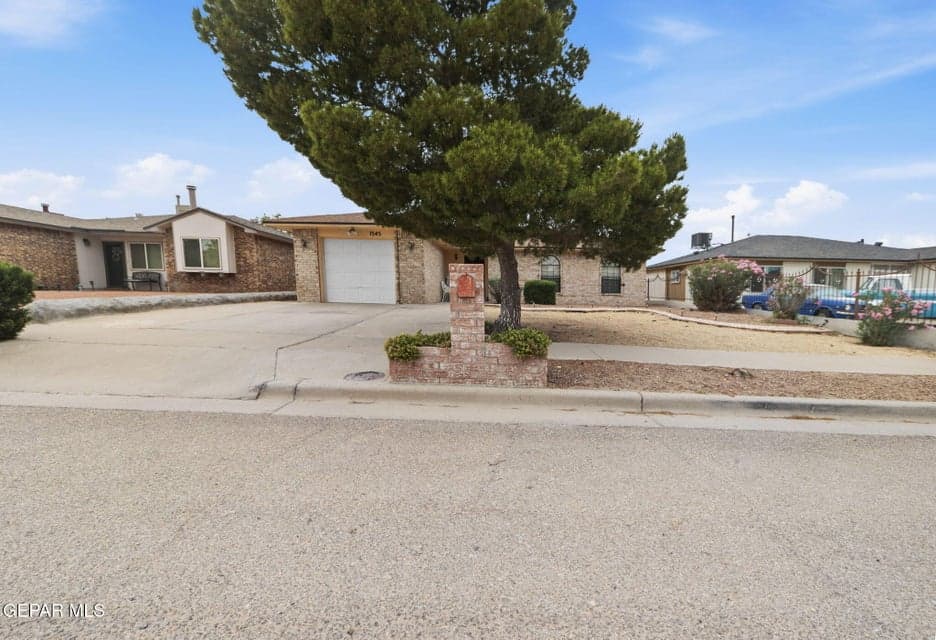 5-web-or-mls-A24I2978
