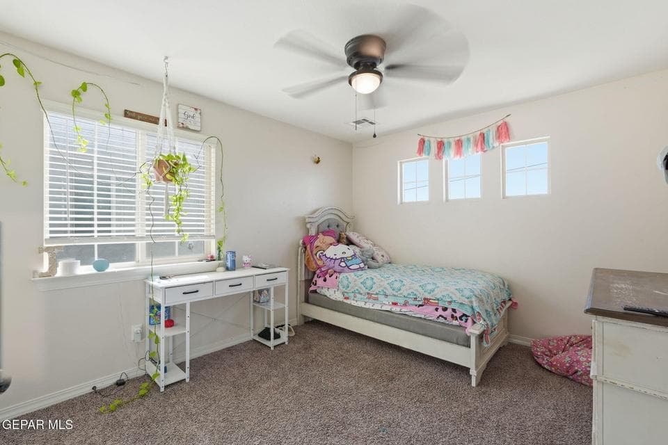 35-web-or-mls-DSC02942