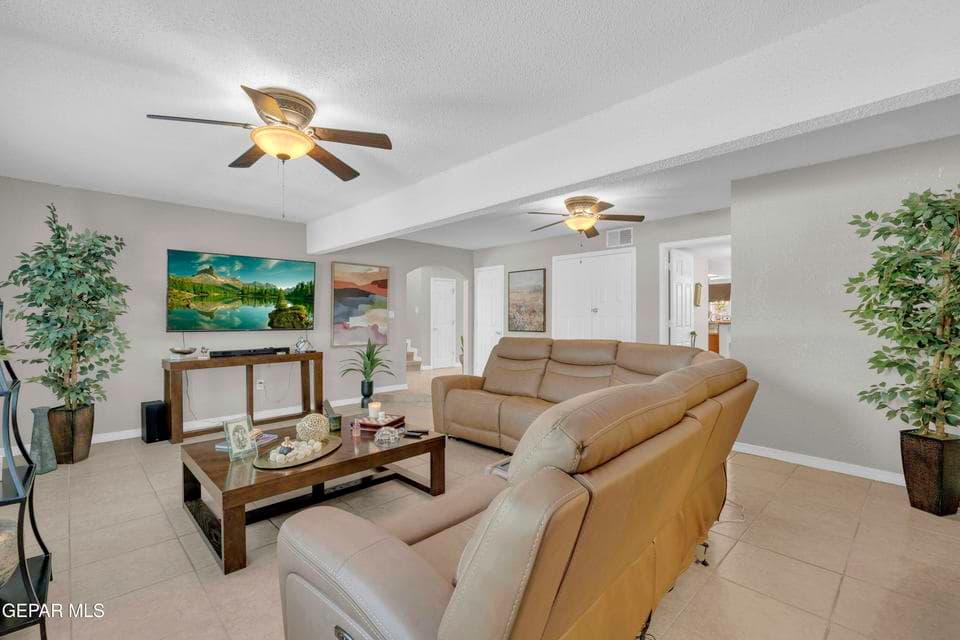 6007 Oleaster 20
