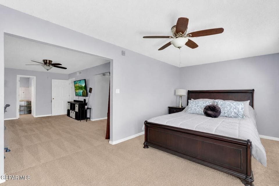 6007 Oleaster 32